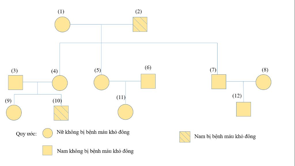 cau-1-benh-mau-kho-dong-o-mot-gia-dinh-bieu-hien-nhu-sau-me-binh-thuong-bo-benh-co-ba-nguoi-con