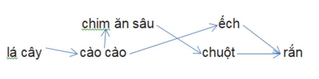 cau-1-cho-1-he-sinh-thai-co-cac-sinh-vat-sau-ran-chuot-ech-chim-an-sau-la-cay-cao-cao-a-hay-viet