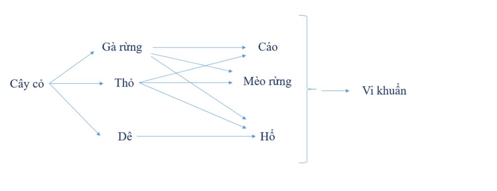 cau-1-cho-cac-loai-sinh-vat-cay-co-de-tho-ga-rung-ho-ca-meo-rung-vi-khuan-a-hay-ve-luoi-thuc-an