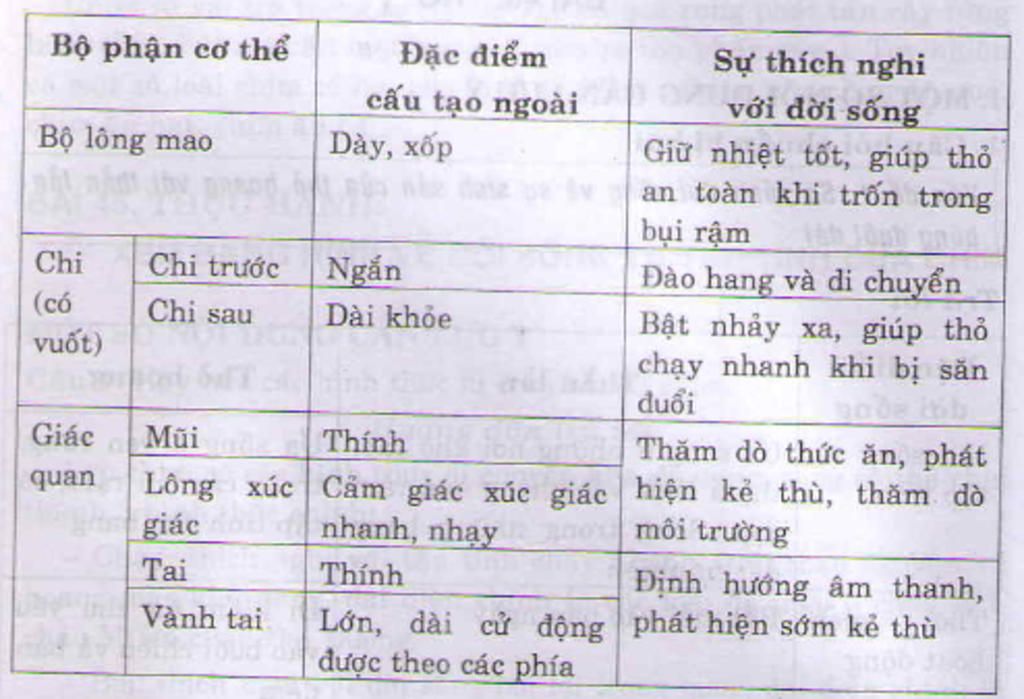 cau-1-dac-diem-thich-nghi-voi-doi-song-cua-cac-dai-dien-cho-cac-nhom-chim-cau-2-dac-diem-doi-son