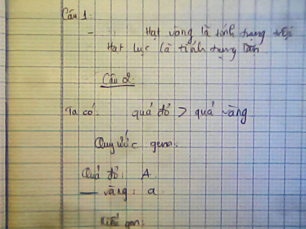 cau-1-dem-giao-phan-2-cay-thuan-chung-hat-luc-va-hat-vang-thu-duoc-f1-100-cay-co-hat-vang-va-o-f