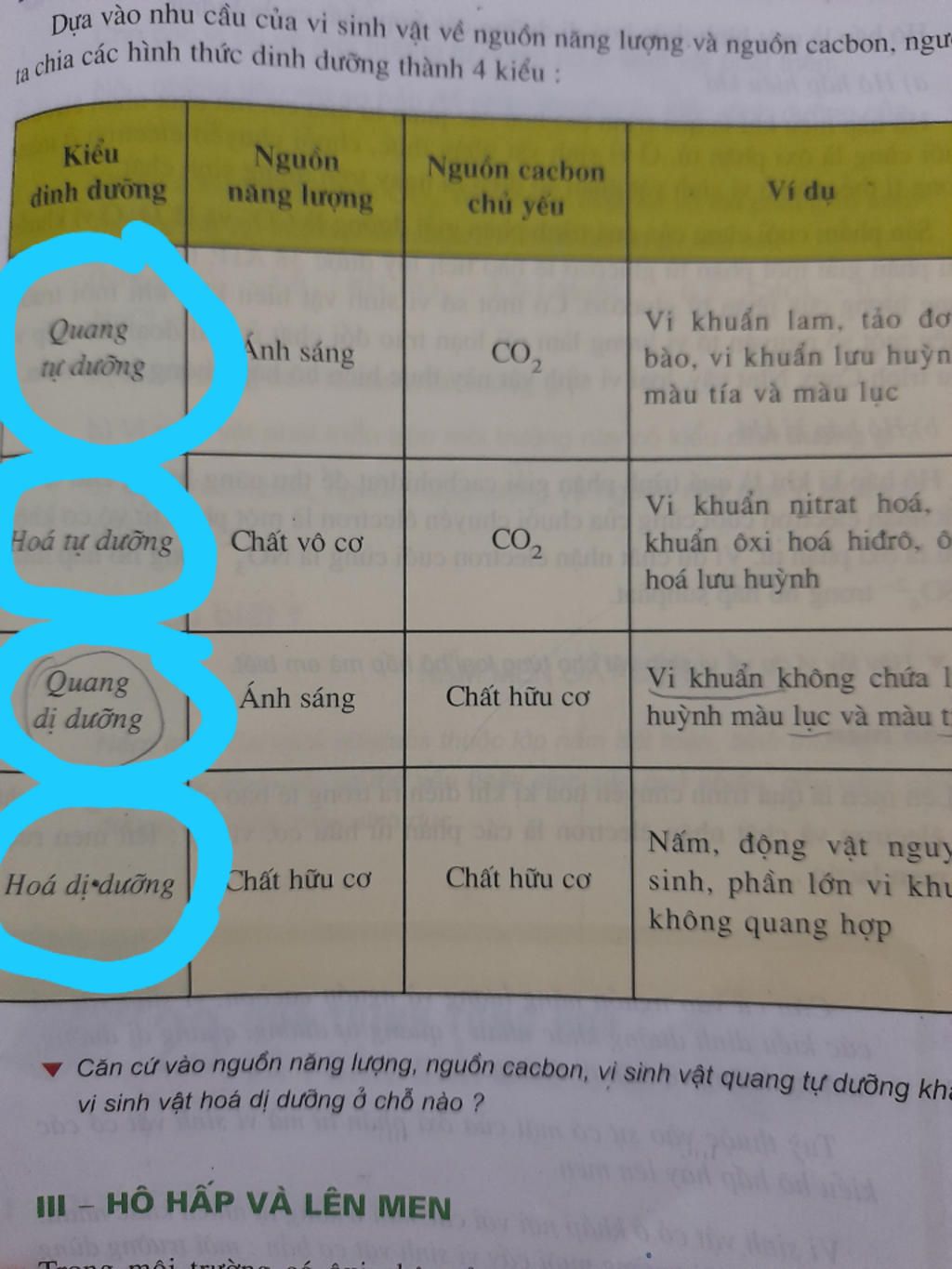 cau-1-dua-vao-nhi-cau-cua-vi-sinh-vat-doi-voi-nguon-nang-luong-va-nguon-cacbon-chu-yeu-nguoi-ta