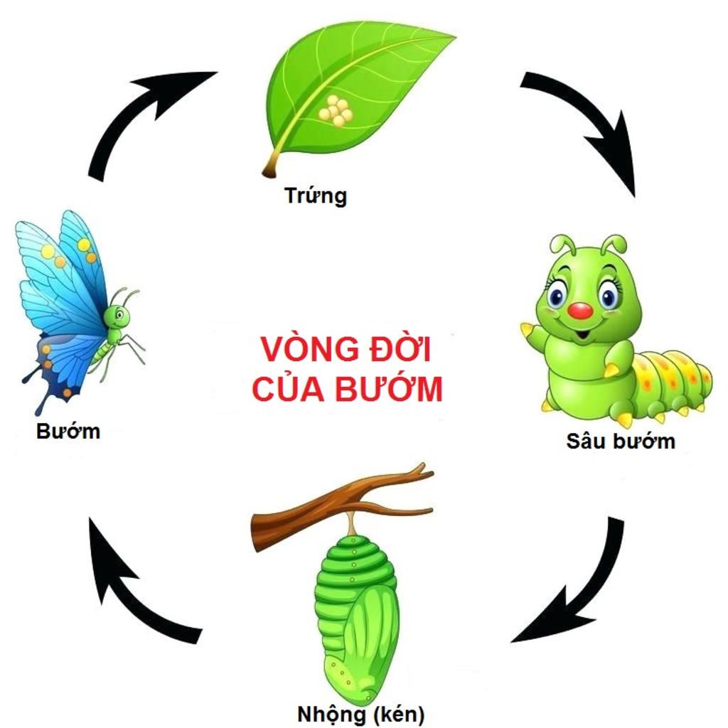 cau-1-em-can-lam-gi-de-tranh-bi-dien-giat-cau-2-de-gop-phan-bao-ve-moi-truong-ung-quanh-chung-ta