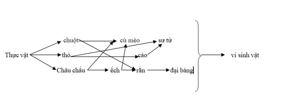 cau-1-giua-ca-map-va-ca-duoi-co-moi-quan-he-gi-cau-2-cay-ngo-chuot-cu-meo-ca-rot-tho-cao-su-tu-c