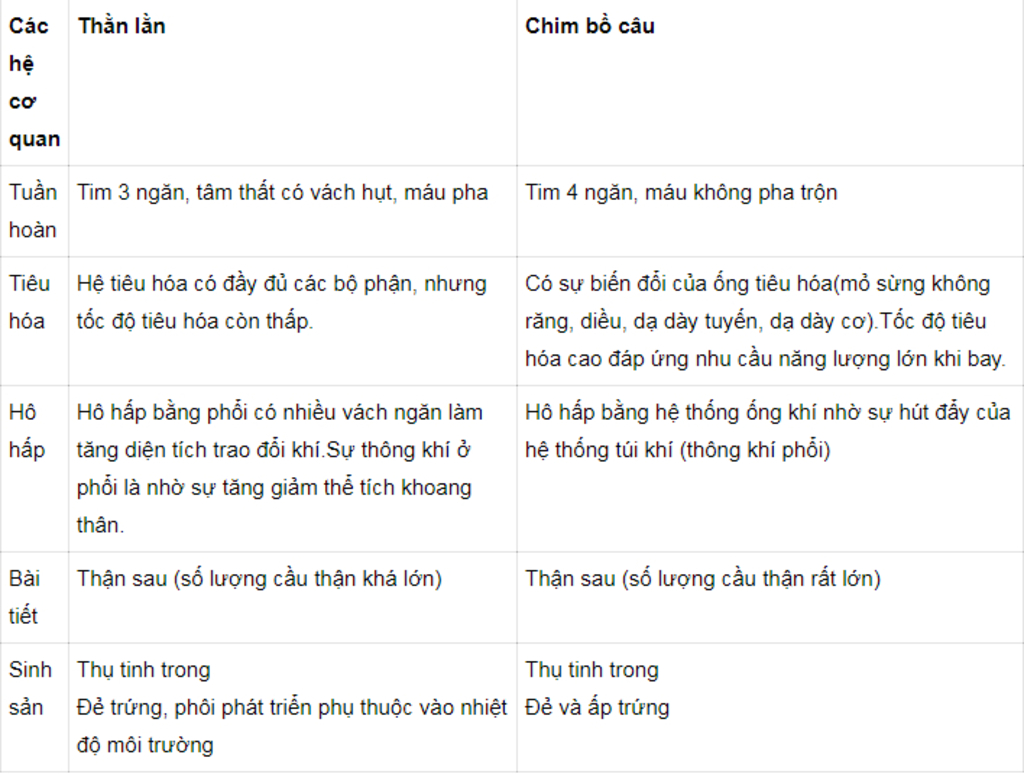 cau-1-lap-bang-so-sang-dac-diem-sinh-san-cua-chim-bo-cau-va-than-lan-bong-duoi-dai-cho-biet-y-ng