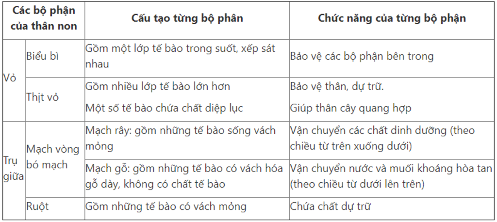 cau-1-neu-cac-loai-re-bien-dang-va-cac-loai-than-bien-dang-cau-2-neu-cau-tao-trong-cua-than-non