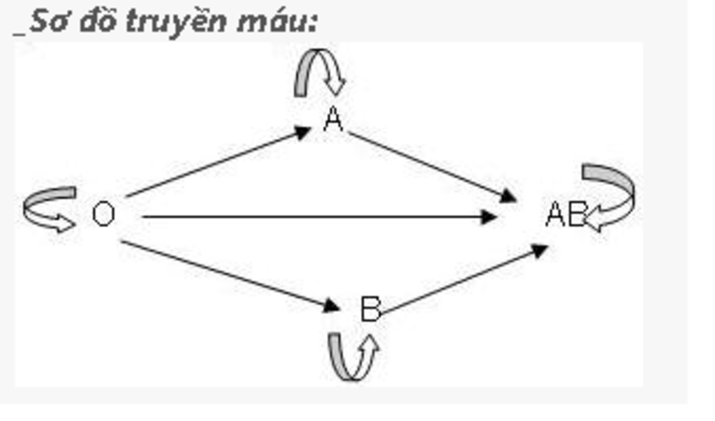 cau-1-neu-chuc-nang-cua-hong-cau-bach-cau-tieu-cau-cau-2-tai-sao-nhom-mau-o-co-the-truyen-cho-ca