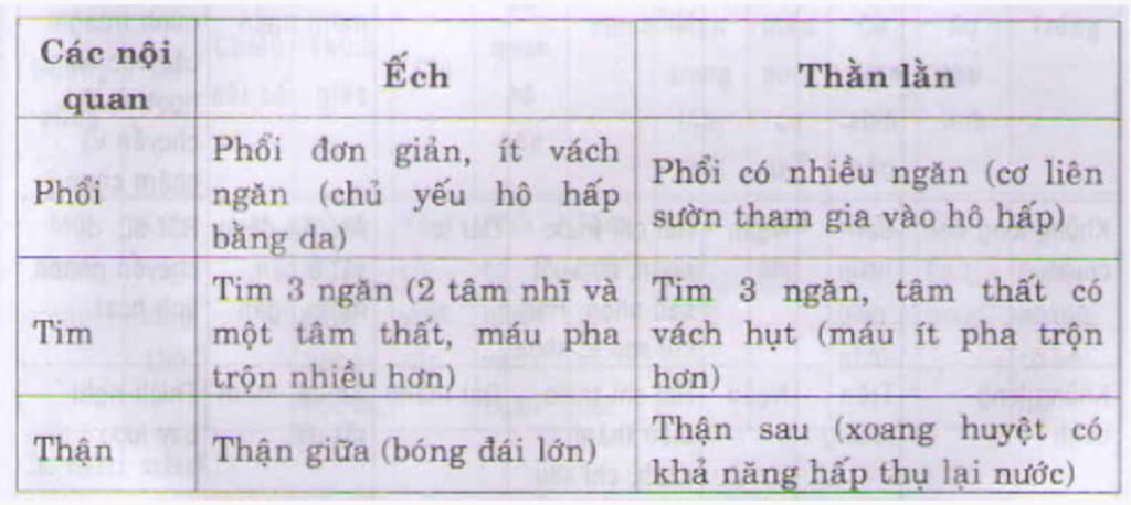 cau-1-neu-dac-diem-cau-tao-ngoai-cua-ech-thich-nghi-doi-song-vua-o-nuoc-vua-o-can-cau-2-neu-dac