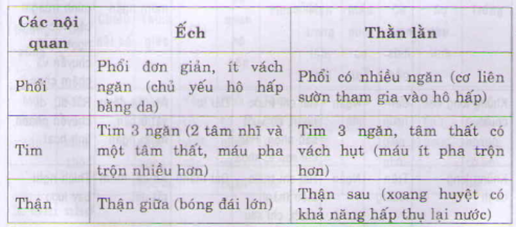 cau-1-neu-dac-diem-chung-vai-tro-cua-luong-cu-doi-voi-con-nguoi-cau-2-tai-sao-noi-vai-tro-diet-s