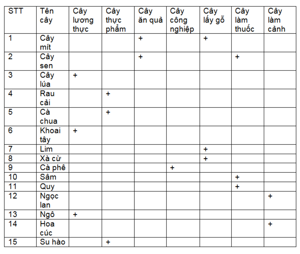 cau-1-nho-dau-thuc-vat-co-kha-nang-dieu-hoa-luong-khi-oi-va-khi-cacbonic-trong-khong-khi-dieu-na