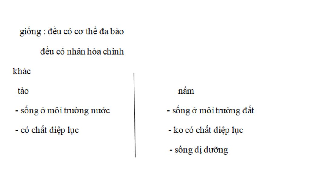 cau-1-nhung-bien-phap-bao-ve-da-dang-the-hien-nhu-the-nao-cau-2-vi-khuan-phan-bo-o-dau-cau-3-tao