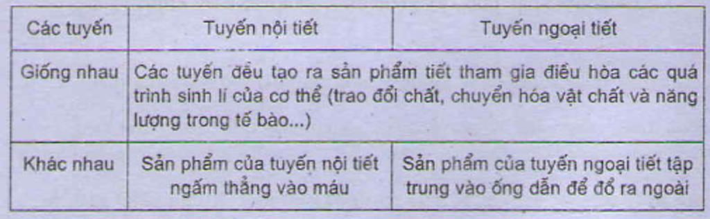 cau-1-phan-biet-tuyen-noi-tiet-va-tuyen-ngoai-tiet