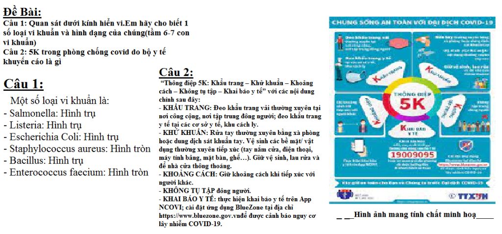 cau-1-quan-sat-duoi-kinh-hien-vi-em-hay-cho-biet-1-so-loai-vi-khuan-va-hinh-dang-cua-chung-tam-6