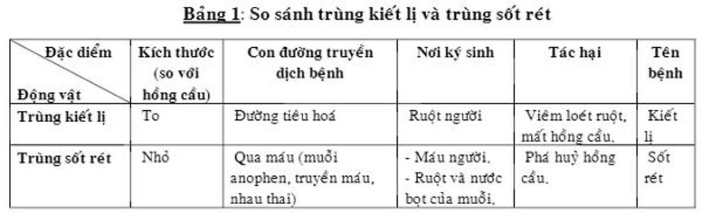 cau-1-so-sanh-vong-doi-cua-cac-loai-dvns-song-ki-sinh-da-hoc-trung-kiet-li-va-trung-sot-ret-cau