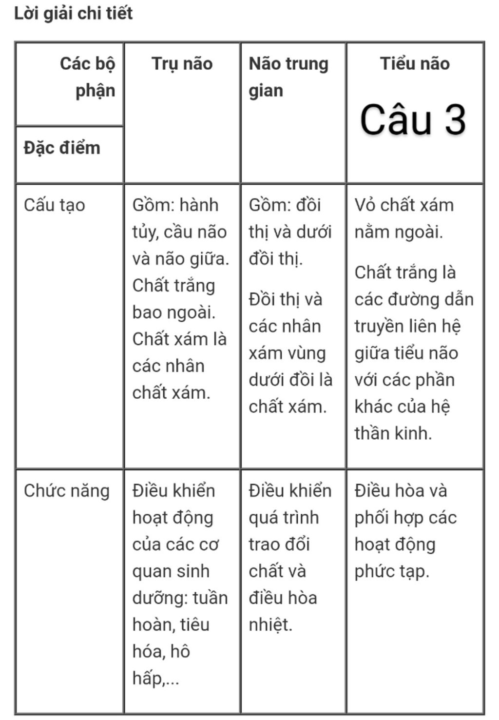 cau-1-tai-sao-noi-day-than-kinh-tuy-la-day-pha-cau-2-tren-mot-con-ech-da-mo-de-nghien-cuu-re-tuy