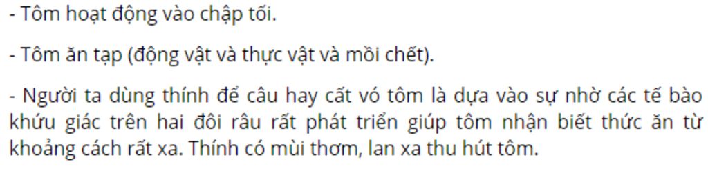 cau-1-tai-sao-tom-song-phai-lot-vo-cau-2-thuc-an-cua-tom-cau-3-tom-thuong-hoat-dong-vao-thoi-gia