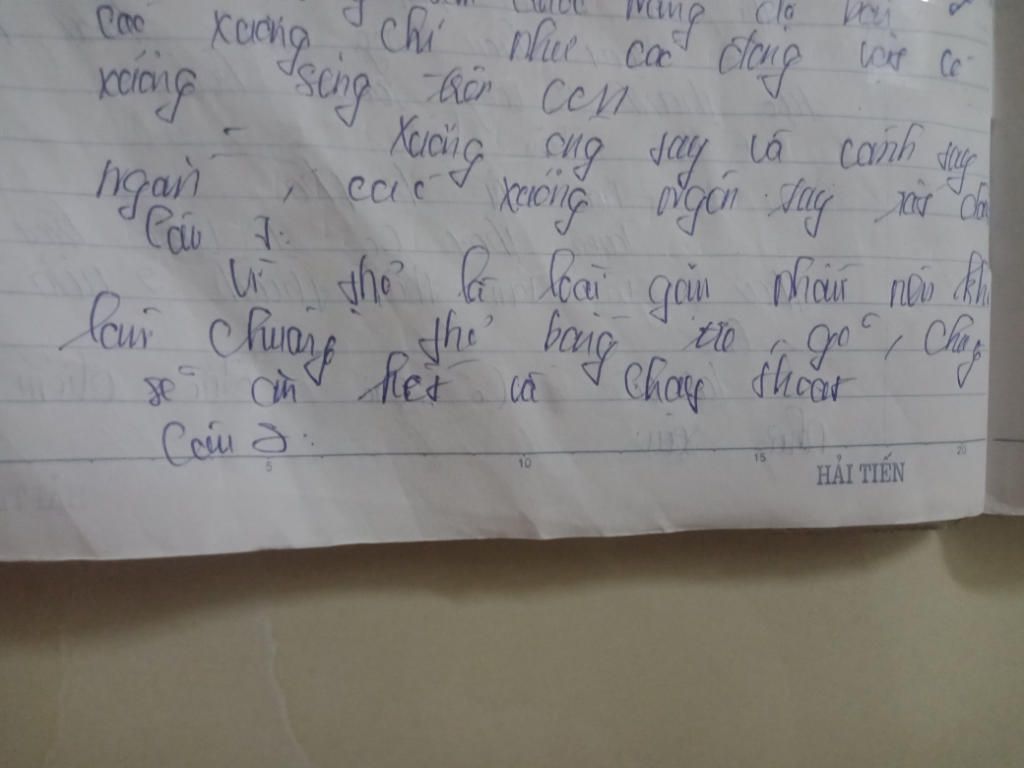 cau-1-tai-sao-trong-chan-nuoi-nguoi-ta-khong-lam-chuong-tho-bang-tre-nua-hoac-bang-go-cau-2-hien