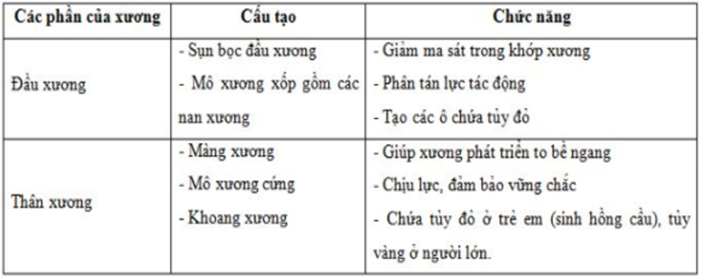 cau-1-trinh-bay-cau-tao-va-chuc-nang-cua-uong-dai-cau-2-trinh-bay-cau-tao-va-tinh-chat-cua-co-th