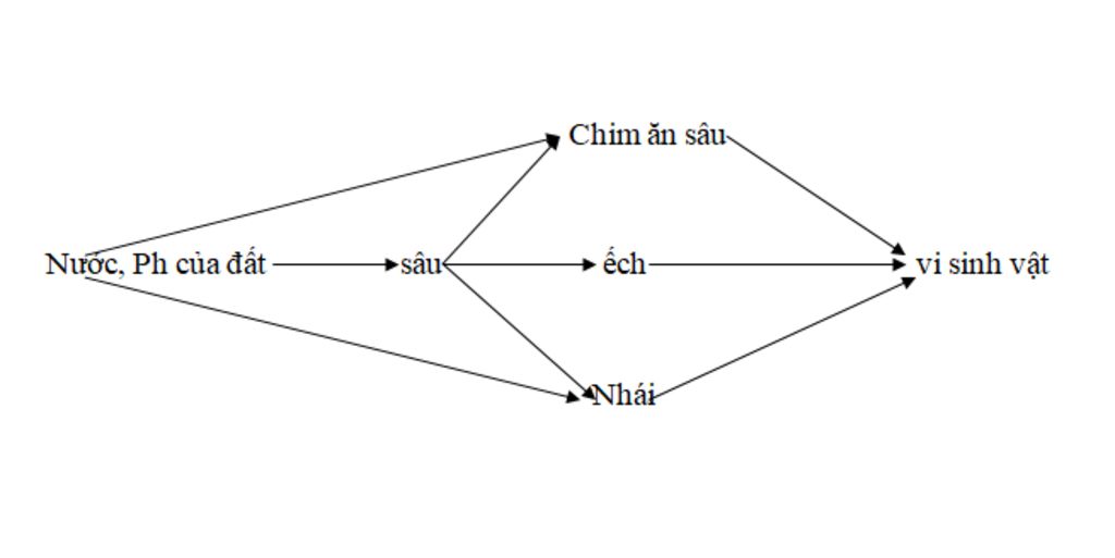 cau-1-trong-quan-a-canh-dong-lua-lua-la-loai-mang-dau-hieu-nao-cau-2-cho-he-sinh-thai-co-cac-yeu