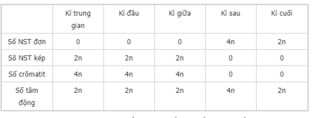 cau-1-viet-doan-mach-adn-bo-sung-hoac-phan-tu-marn-duoc-tao-thanh-cau-2-tinh-so-nhiem-sac-the-o