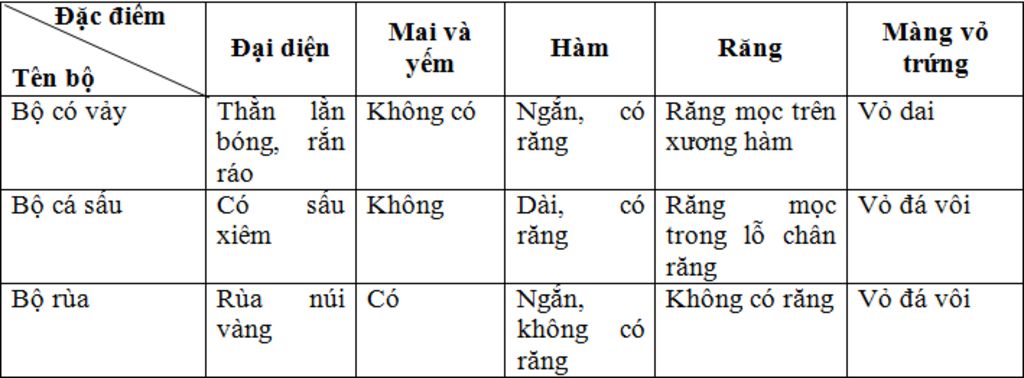 cau-10-dua-vao-dac-diem-dac-trung-nao-de-phan-biet-3-bo-thuong-gap-cua-bo-sat