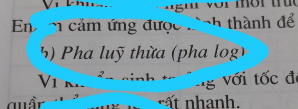 cau-11-pha-log-la-ten-goi-khac-cua-giai-doan-nao-sau-day-a-pha-tiem-phat-b-pha-can-bang-c-pha-lu