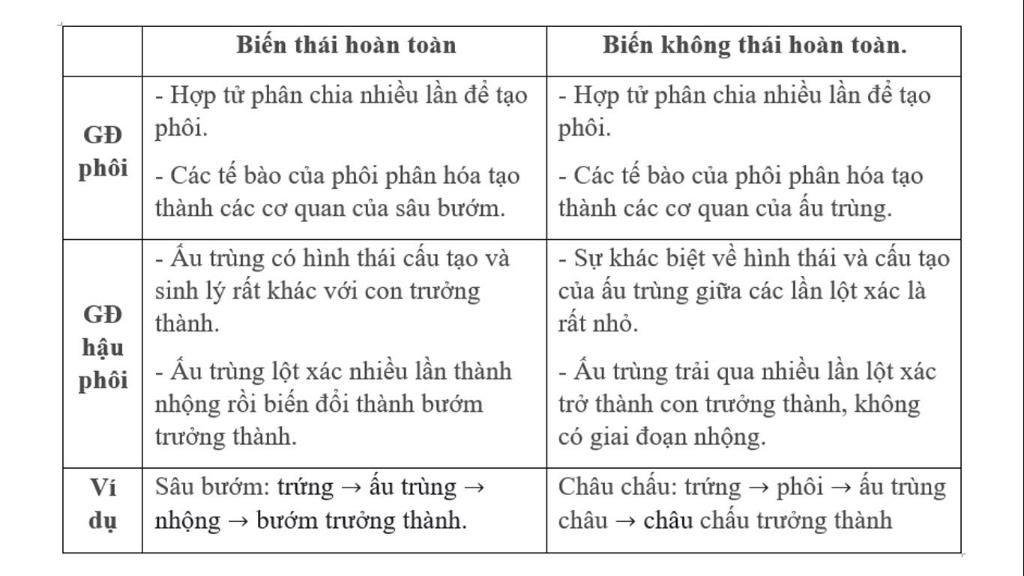 cau-16-phan-biet-cac-kieu-phat-trien-o-dong-vat-lay-vi-du-ve-anh-huong-cua-dinh-duong-ni-to-doi