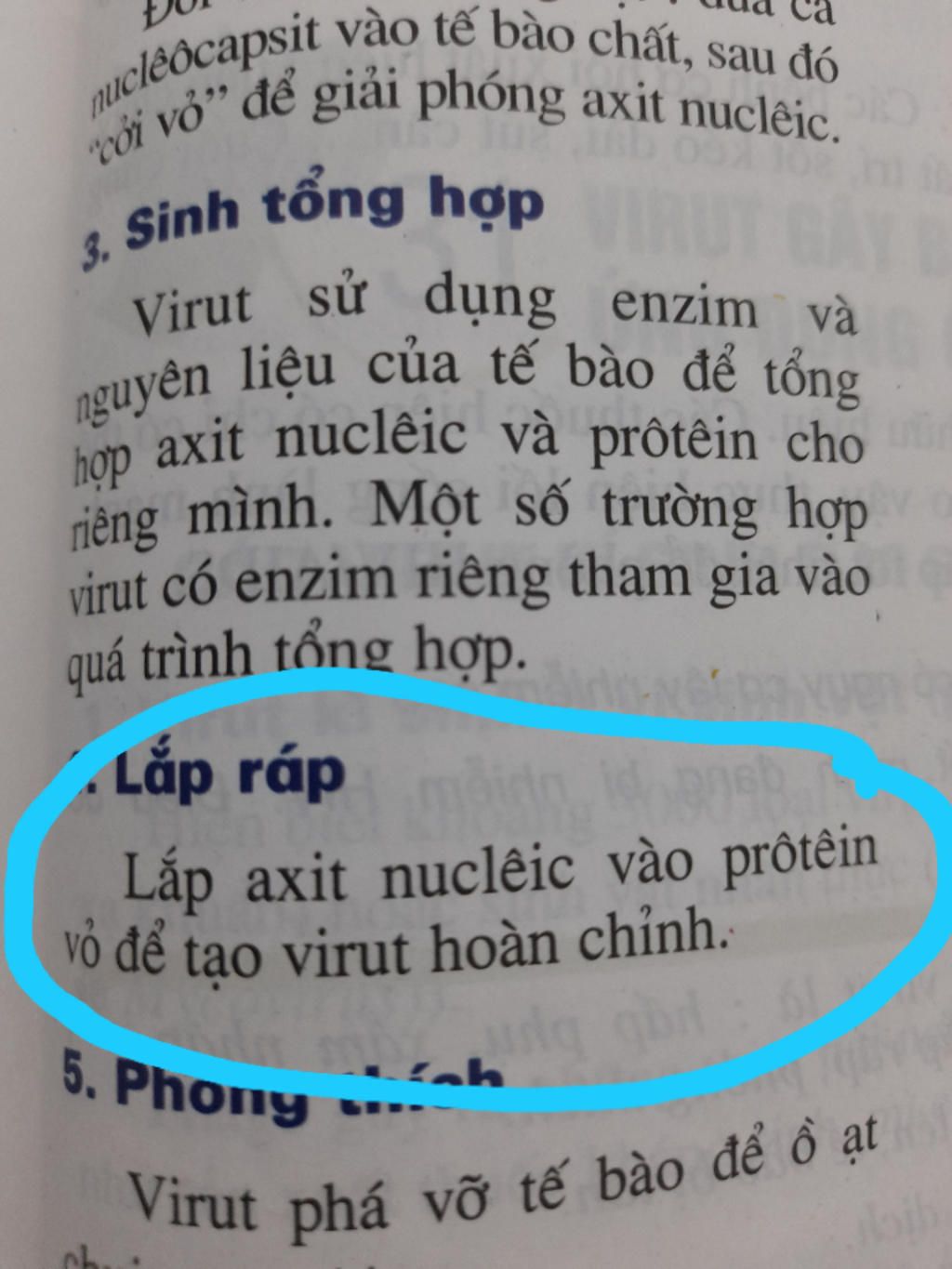 cau-19-hoat-dong-ay-ra-o-giai-doan-lap-rap-cua-qua-trinh-am-nhap-vao-te-bao-chu-cua-virut-la-a-l