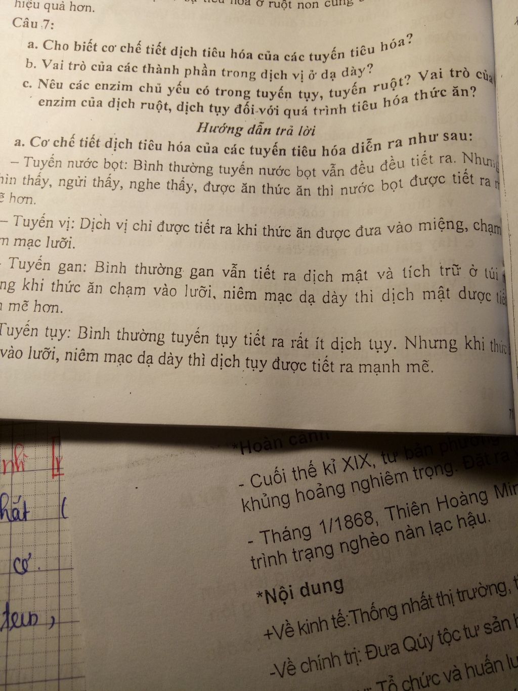 cau-1dich-tuy-va-dich-ruot-co-tac-dung-gi-ruot-non-khong-duoc-bien-doi-het-thi-se-nhu-the-nao-nh