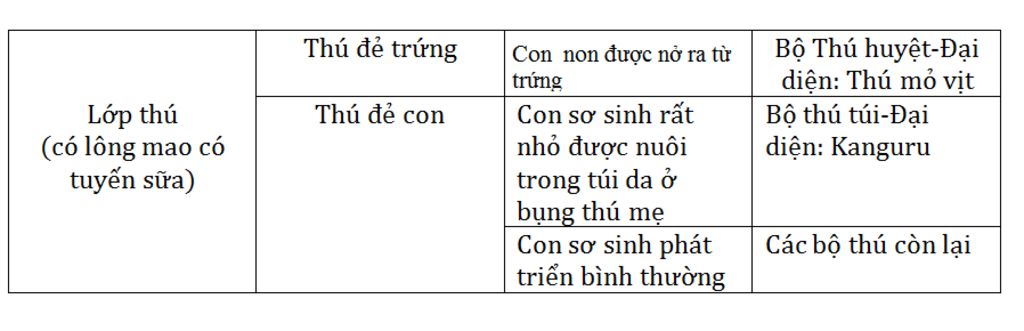 cau-2-a-phan-biet-cac-nhom-thu-bang-dac-diem-sinh-san-va-tap-tinh-bu-sua-b-neu-dac-diem-cau-tao