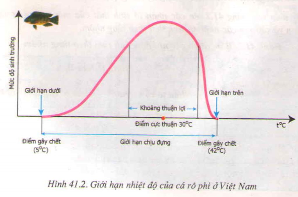 cau-2-cac-ro-phi-viet-nam-song-duoc-trong-khoang-nhiet-do-cua-moi-truong-tu-5-do-c-42-do-c-va-ph