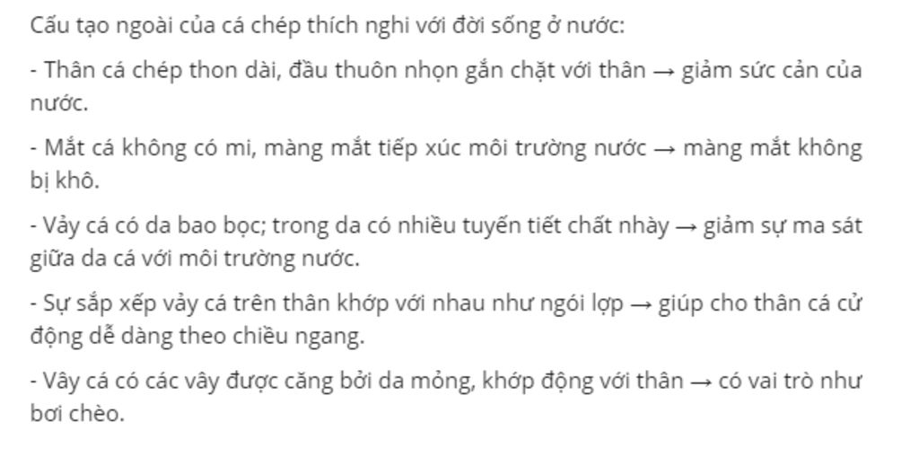 cau-2-cau-tao-ngoai-cua-thich-nghi-voi-doi-song-nhu-the-nao