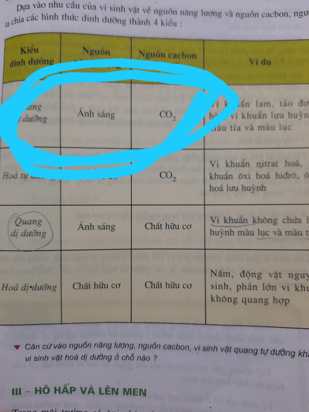 cau-2-hinh-thuc-dinh-duong-bang-cac-nguon-cacbon-chu-yeu-la-co2-va-nang-luong-cua-anh-sang-duoc