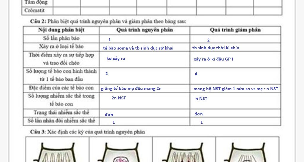 cau-2-phan-biet-qua-trinh-nguyen-phan-va-giam-phan-theo-bang-sau-noi-dung-phan-biet-qua-trinh-ng