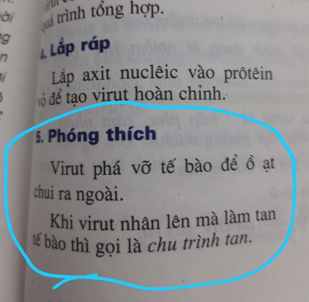 cau-20-virut-duoc-tao-ra-roi-te-bao-chu-o-giai-doan-nao-sau-day-a-giai-doan-tong-hop-b-giai-doan