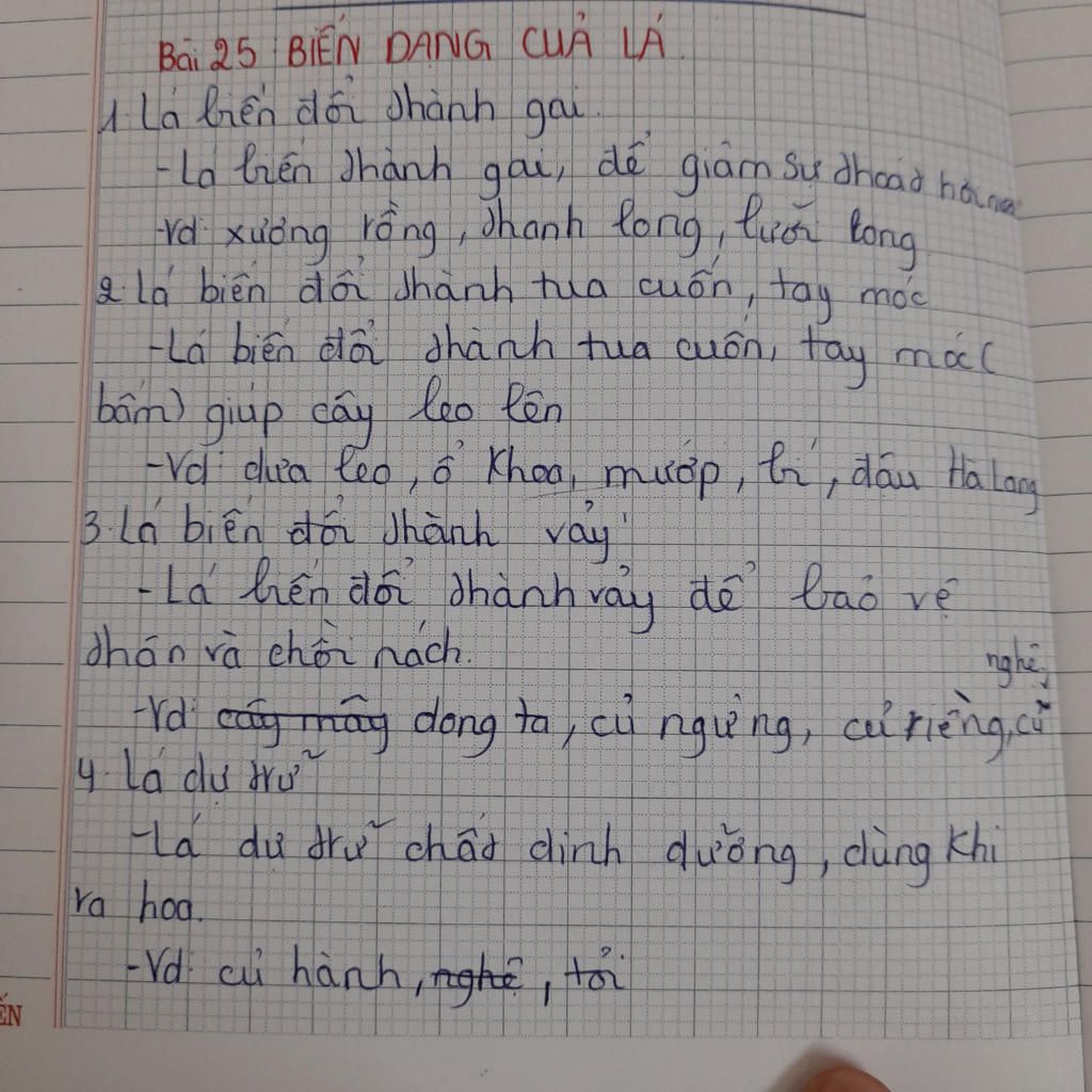 cau-4-ho-hap-o-thuc-vat-dien-ra-nhu-the-nao-cau-5-phan-lon-nuoc-vao-cay-di-dau-y-nghia-cua-thoat