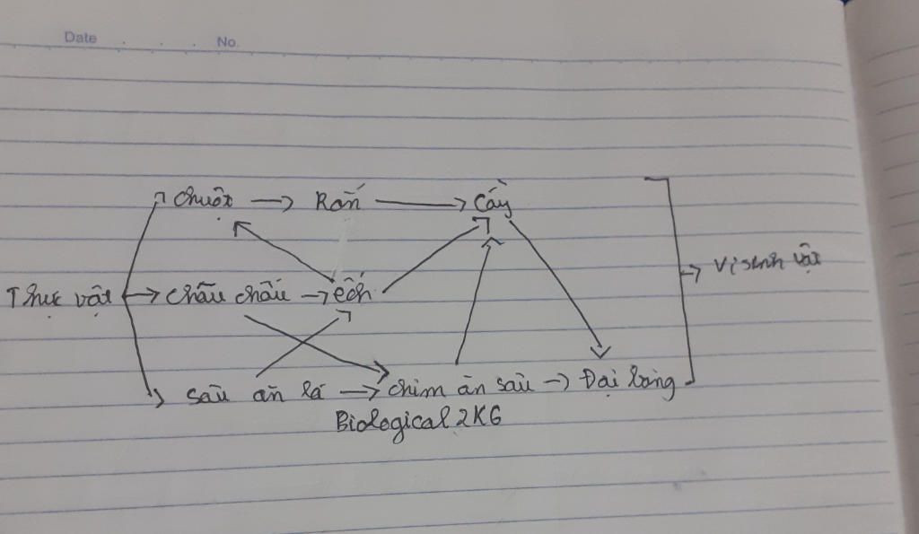 cau-5-cho-cac-sinh-vat-sau-thuc-vat-chau-chau-sau-an-la-chim-an-sau-chuot-ech-ran-dai-bang-cay-v