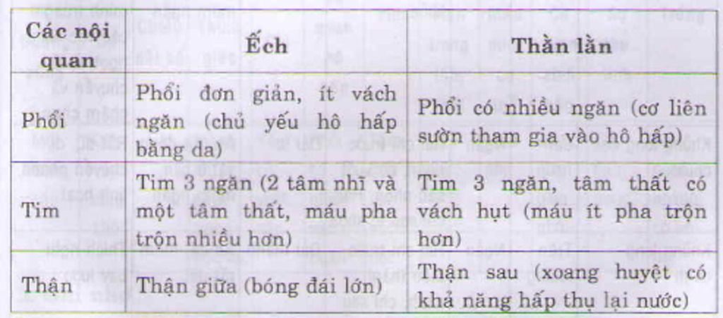 cau-5-neu-su-da-dang-cua-lop-luong-cu-neu-dac-diem-chung-va-vai-tro-cua-lop-luong-cu-tai-sao-noi