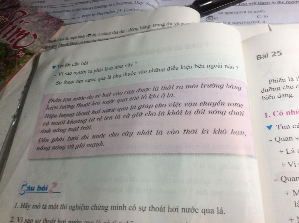 cau-6-khi-mieu-ta-ve-su-bien-doi-cua-cay-bang-mot-nha-van-da-viet-mua-dong-cay-vuon-d-nhung-canh
