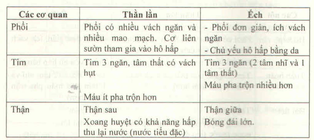 cau-8-so-sanh-bo-uong-va-cac-co-quan-tim-phoi-than-cua-than-lan-va-ech-cau-9-neu-moi-truong-song