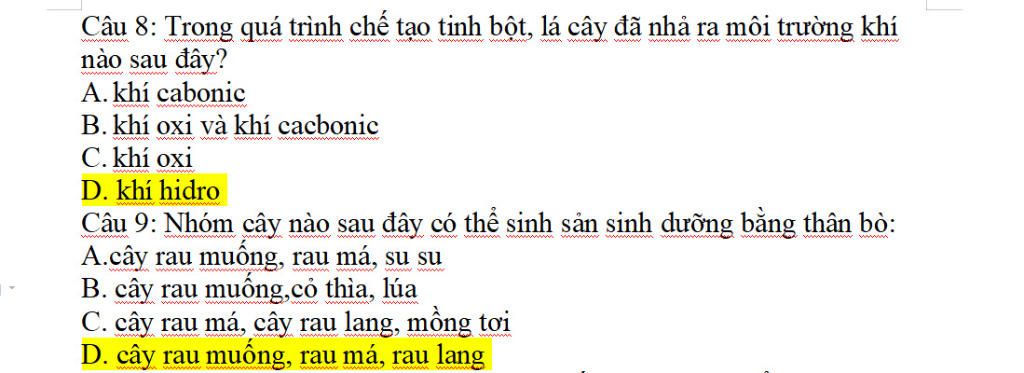 cau-8-trong-qua-trinh-che-tao-tinh-bot-la-cay-da-nha-ra-moi-truong-khi-nao-sau-day-a-khi-cabonic