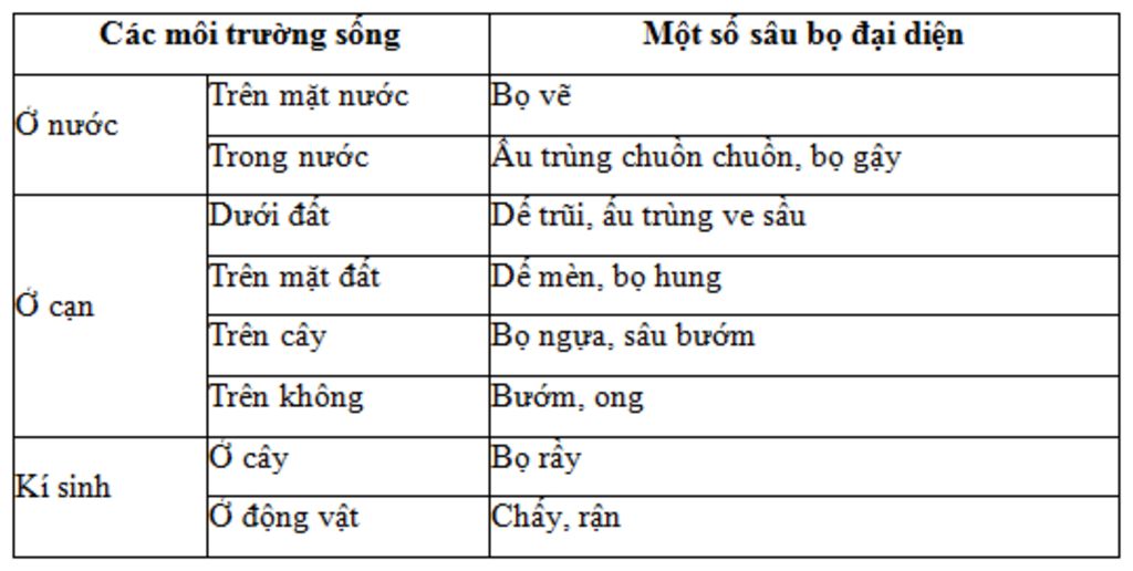 cau-hoi-sinh-hoc-cac-dai-dien-cua-3-lop-sau-bo