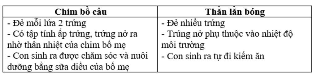 cau-hoi-so-sanh-dac-diem-sinh-san-cua-chim-bo-cau-voi-than-lan-bong-duoi-dai