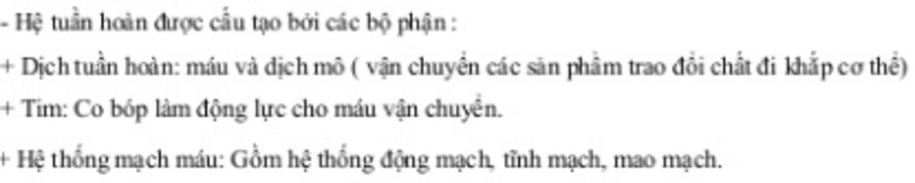 cau-tao-chuc-nang-cua-he-tuan-hoan-co-nhung-dang-he-tuan-hoan-nao