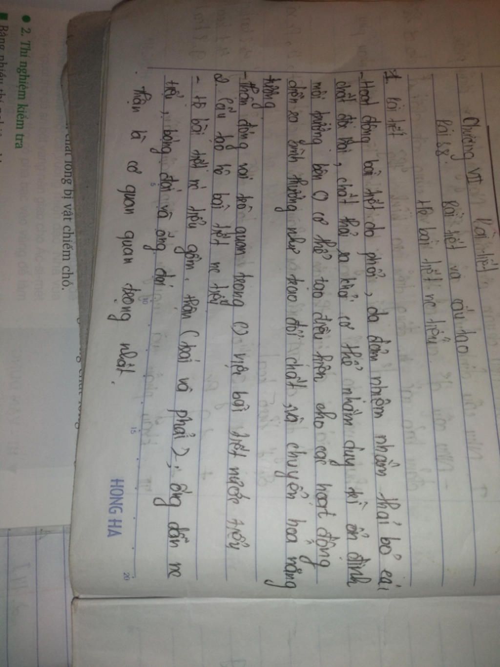 cau-tao-chuc-nang-va-ve-sinh-he-bai-tiet