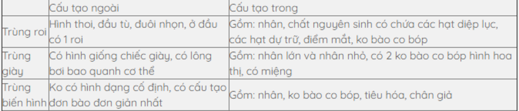 cau-tao-di-chuyen-dinh-duong-sinh-san-cua-trung-roi-anh-trung-bien-hinh-trung-giay