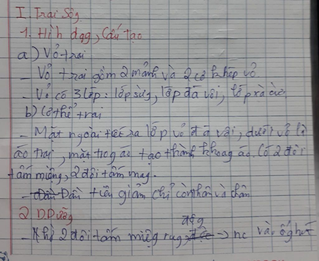 cau-tao-dinh-duong-thuc-an-cua-no-sinh-san-cach-sinh-san-phan-tinh-hay-luong-tinh-mua-sinh-san-n