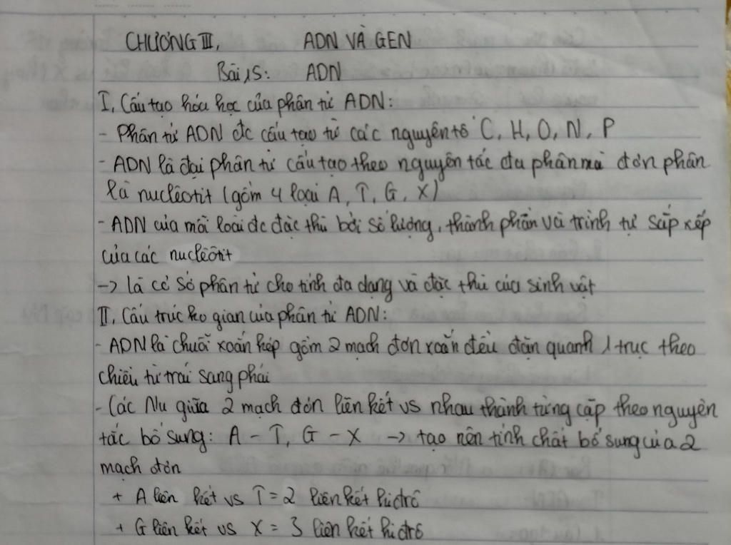 cau-tao-hoa-hoc-va-cau-truc-khong-gian-cua-adn-chuc-nang-cua-arn