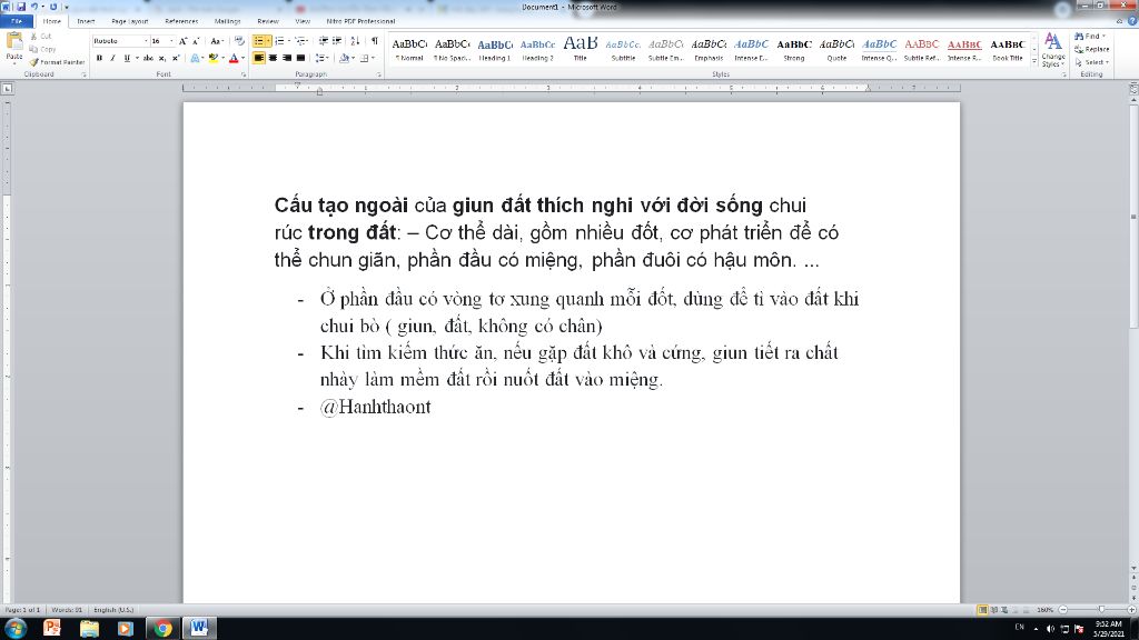 cau-tao-ngoai-giun-dat-thich-nghi-voi-doi-song-trong-dat-nhu-the-nao