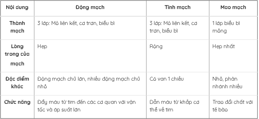 cau-tao-phu-hop-voi-chuc-nang-cua-tim-va-he-mach-la-gi